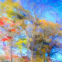 Buy canvas prints of Autumn Art Sleepy Hollow by David Pyatt