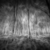 Buy canvas prints of The Haunted Forest  by David Pyatt