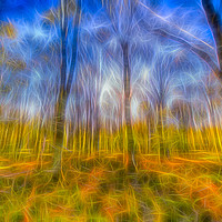 Buy canvas prints of Electric Forest by David Pyatt