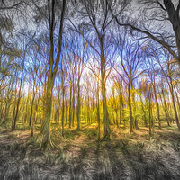 Buy canvas prints of Light Through The Forest Art by David Pyatt
