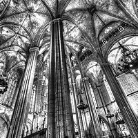 Buy canvas prints of Barcelona Cathedral  by David Pyatt