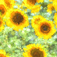 Buy canvas prints of Painterly Sunflowers by David Pyatt