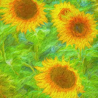 Buy canvas prints of Sunflower Art        by David Pyatt