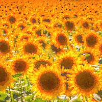 Buy canvas prints of Sunflower Abstract Dreams  by David Pyatt