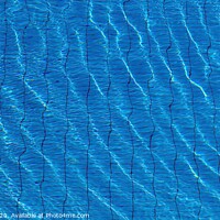 Buy canvas prints of Swimming Pool Water Panorama by David Pyatt