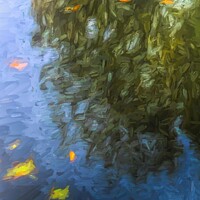 Buy canvas prints of Reflections Of Nature by David Pyatt