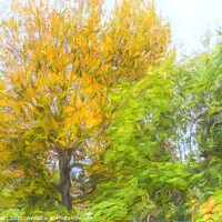 Buy canvas prints of Autumn Tree Art by David Pyatt