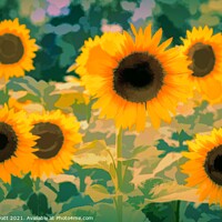 Buy canvas prints of Sunflower Field Art  by David Pyatt