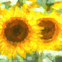 Buy canvas prints of Sunflower Dream Art by David Pyatt