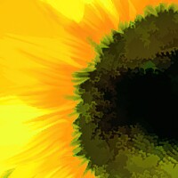 Buy canvas prints of Sunflower Abstraction Art by David Pyatt