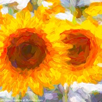 Buy canvas prints of Sunflower Dreaming Art  by David Pyatt