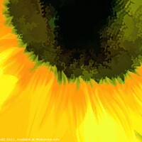 Buy canvas prints of Sunflower Abstract Art by David Pyatt