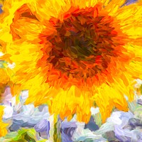 Buy canvas prints of Sunflower Art Of Dreams by David Pyatt