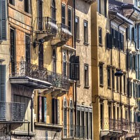 Buy canvas prints of Verona Italy Houses  by David Pyatt