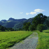 Buy canvas prints of the langdale  path by eric carpenter