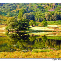 Buy canvas prints of Rydal water Reflections by eric carpenter