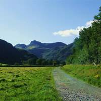 Buy canvas prints of langdale path by eric carpenter