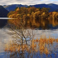 Buy canvas prints of Golden Pond by eric carpenter