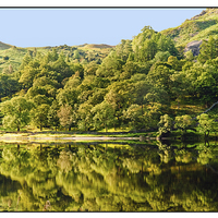 Buy canvas prints of Rydal Reflections by eric carpenter