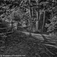 Buy canvas prints of THE PATH MONO by Rob Toombs