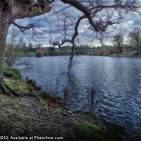 Buy canvas prints of MOTE PARK LAKE by Rob Toombs