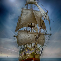 Buy canvas prints of THE PIRATES by Rob Toombs
