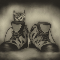 Buy canvas prints of PUSS & BOOTS by Rob Toombs