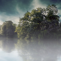 Buy canvas prints of  MORNING MIST by Rob Toombs