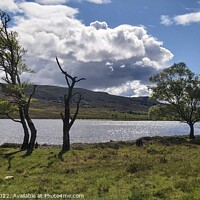 Buy canvas prints of Shores of Loch Achall by Lee Osborne