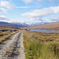 Buy canvas prints of Path by the Loch by Lee Osborne