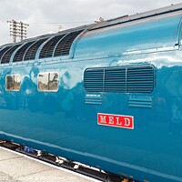 Buy canvas prints of Deltic by Lee Osborne