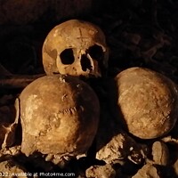 Buy canvas prints of Skulls, Paris Catacombs by Lee Osborne