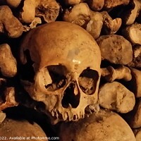 Buy canvas prints of Skull and bones, Paris Catacombs by Lee Osborne