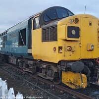 Buy canvas prints of British Rail Class 37, Bo'ness - Inverness TMD by Lee Osborne