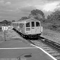 Buy canvas prints of Island Line, Brading by Lee Osborne