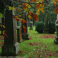 Buy canvas prints of Autumn Graves by Lee Osborne