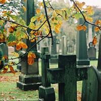 Buy canvas prints of Hallowe'en in Dean Cemetery - Autumn Leaves and Gravestones by Lee Osborne