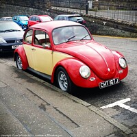 Buy canvas prints of Two Tone Bug by Lee Osborne