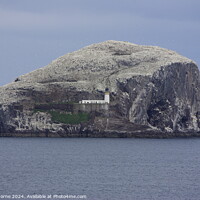 Buy canvas prints of Bass Rock, Firth of Forth by Lee Osborne