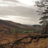 Buy canvas prints of Strontian River Valley, Scottish Highlands by Lee Osborne
