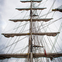 Buy canvas prints of Ahoy there sailor. by Lee Daly
