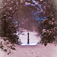 Buy canvas prints of gate way to Narnia by Lee Daly