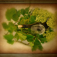 Buy canvas prints of white wine and grapes by sue davies