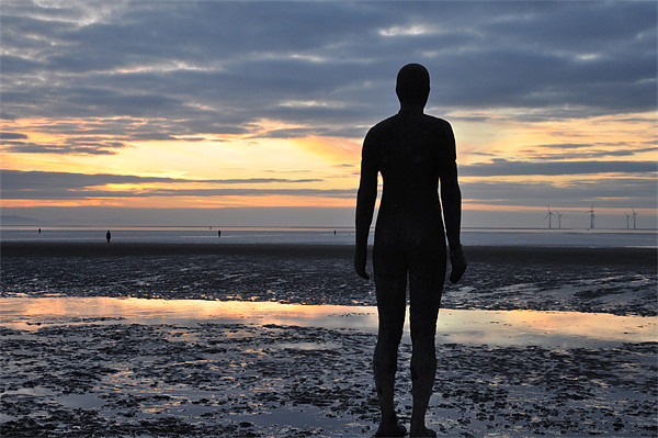 GORMLEY Picture Board by sue davies