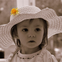 Buy canvas prints of Amelia sue,pretty as a picture by sue davies