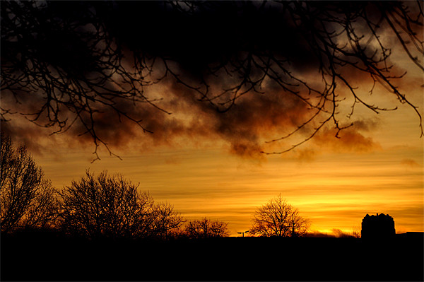 fiery skies Picture Board by sue davies