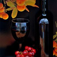 Buy canvas prints of vino by sue davies