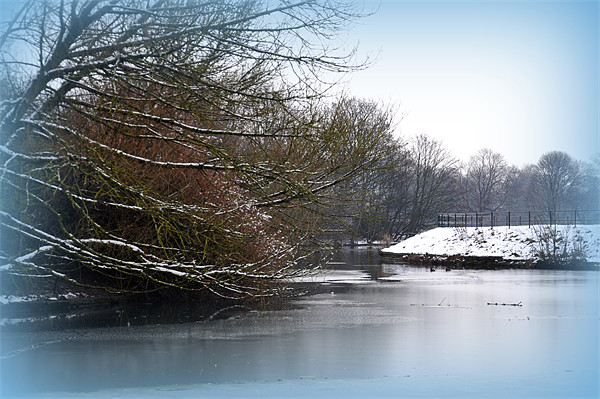 icy lake Picture Board by sue davies