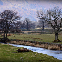 Buy canvas prints of The stream by sue davies
