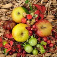 Buy canvas prints of basket of fruit by sue davies